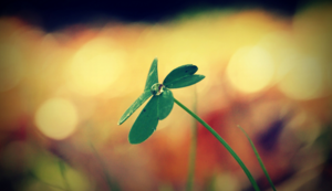 圣地圣火：塞维利亚主场决战皇家社会，为荣耀而战！