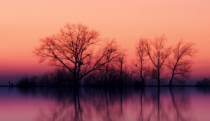 圣地圣火：塞维利亚主场决战皇家社会，为荣耀而战！