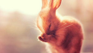 圣地圣火:塞维利亚主场决战皇家社会,为荣耀而战!