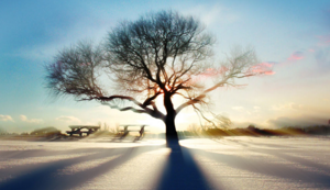 圣地圣火：塞维利亚主场决战皇家社会，为荣耀而战！