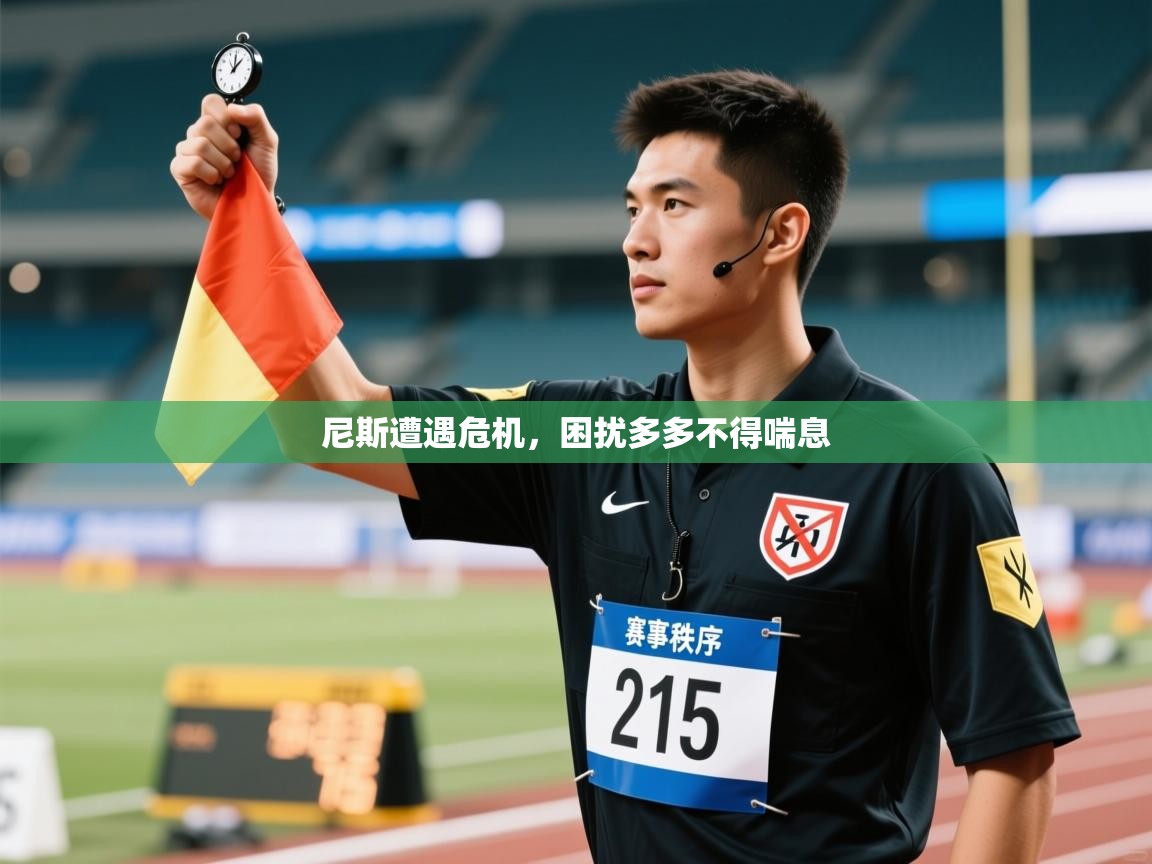 尼斯遭遇危机,困扰多多不得喘息