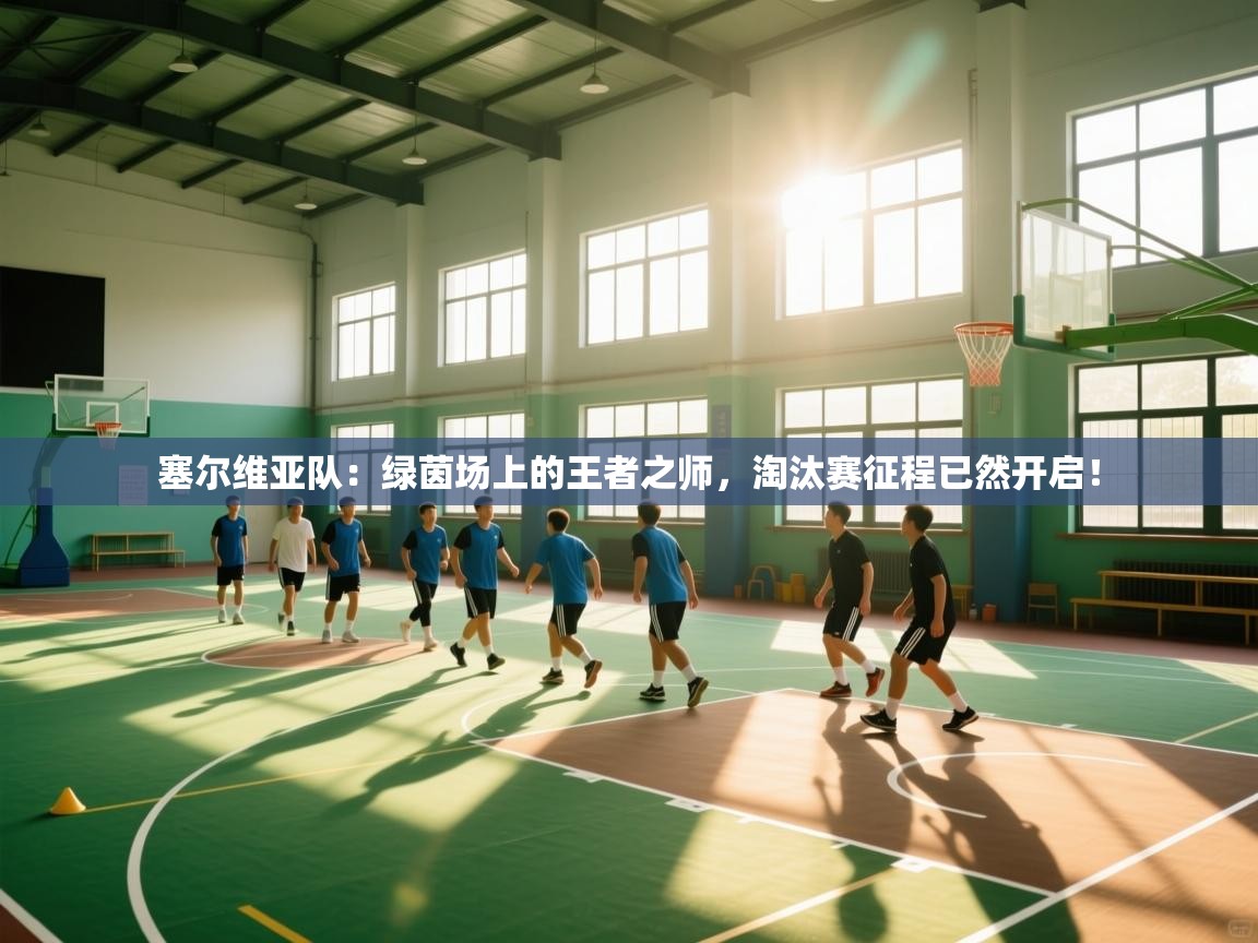 塞尔维亚队:绿茵场上的王者之师,淘汰赛征程已然开启!